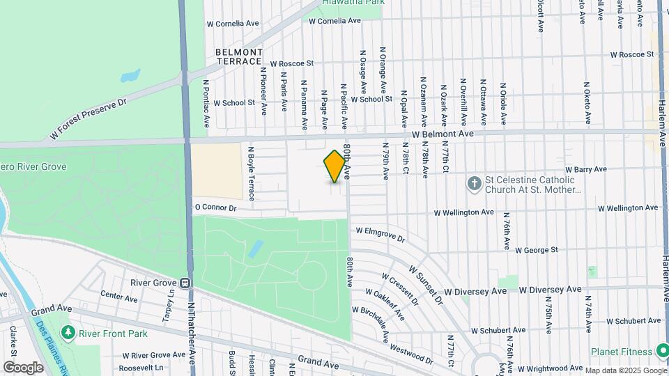 3007 Birch Ln Map and Location Details
