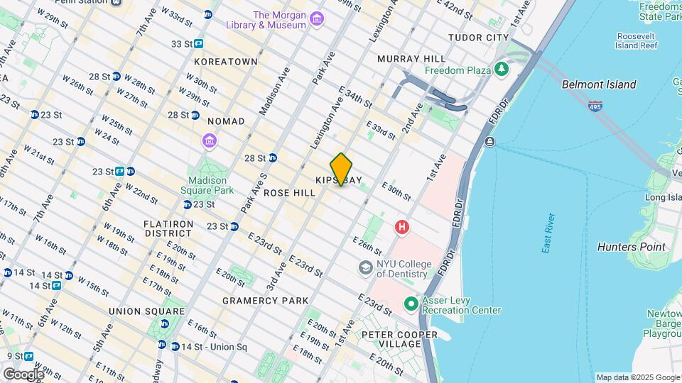 219 E 28th St Mapa y Detalles de la Ubicación