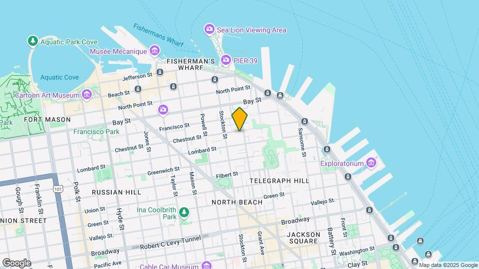 321 Chestnut St Mapa y Detalles de la Ubicación