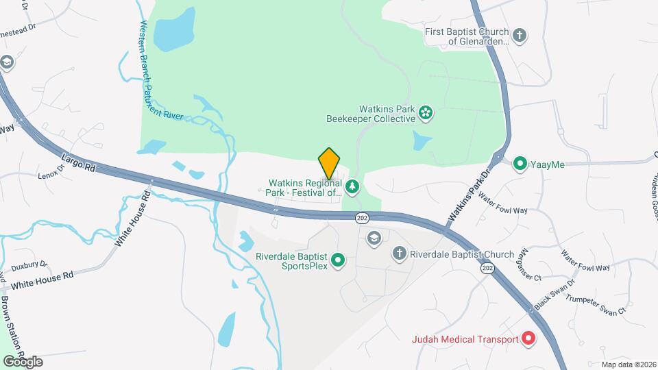 941 Pine Forest Ln Mapa y Detalles de la Ubicación