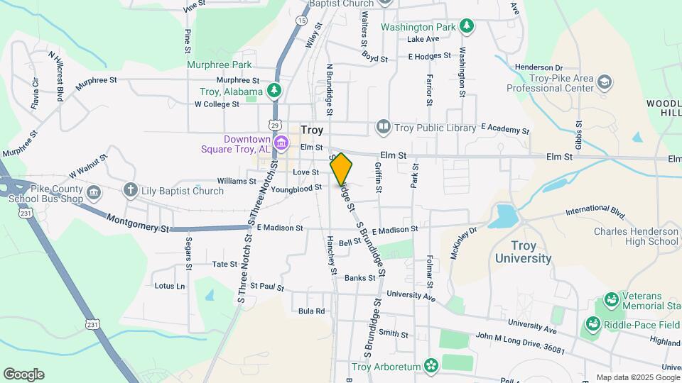 313 S Brundidge St Map and Location Details