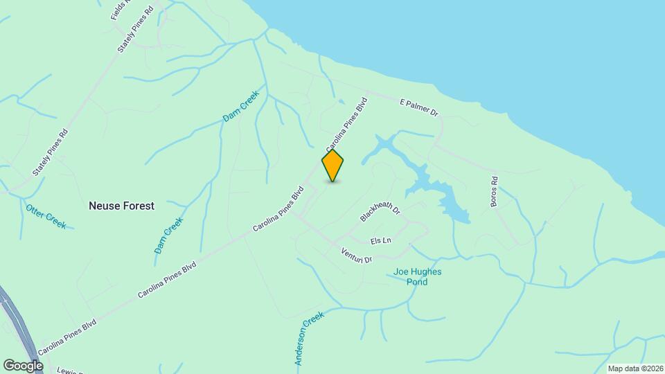 132 Tiger Woods Pl Map and Location Details