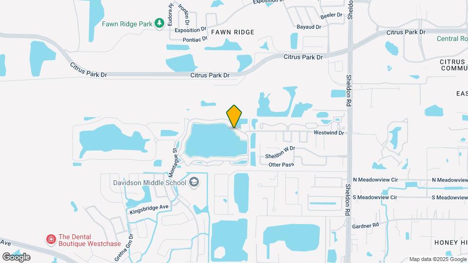 9548 Lake Chase Island Way Map and Location Details