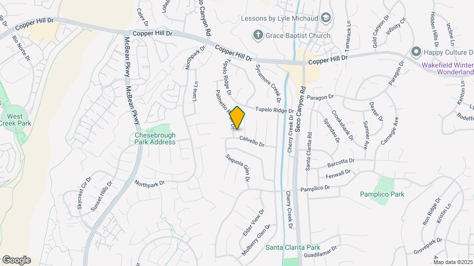 27808 Palmetto Ridge Dr Map and Location Details