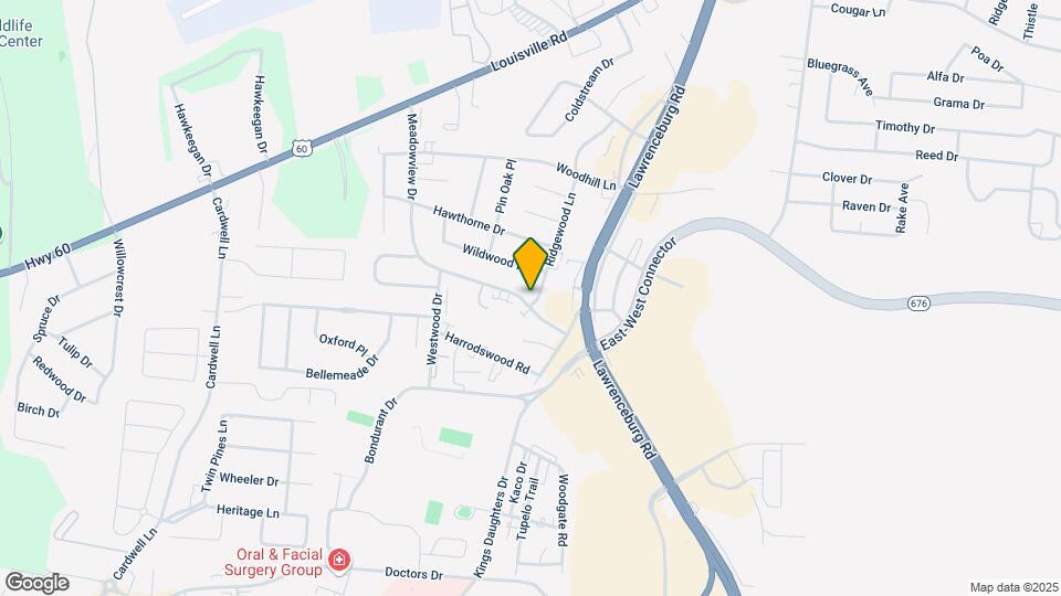 255 Meadowview Dr Map and Location Details