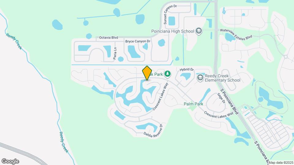 2505 Aster Cove Ln Map and Location Details