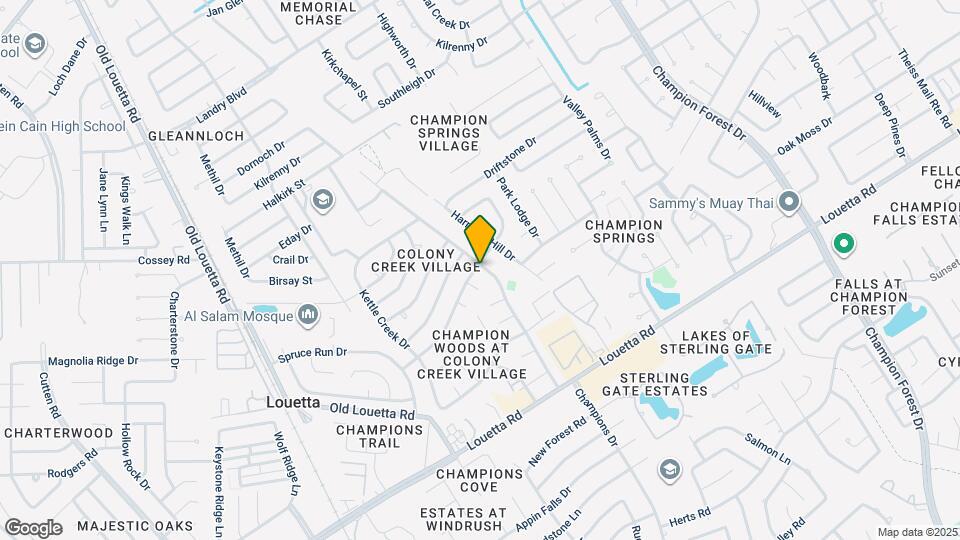 9203 Bayou Bluff Dr Mapa y Detalles de la Ubicación
