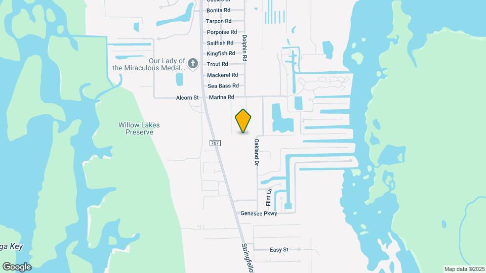 11771 Tawas Ct Mapa y Detalles de la Ubicación