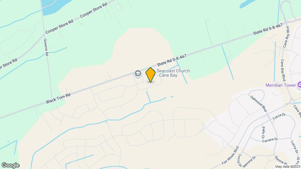 320 Calla Lily Ct Mapa y Detalles de la Ubicación