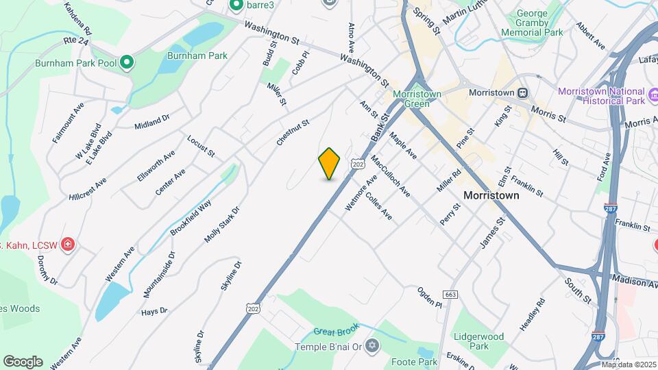 41 Mt Kemble Ave Map and Location Details