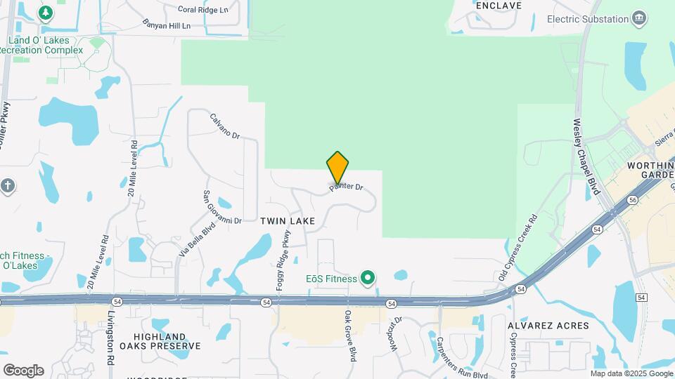 24314 Painter Dr Mapa y Detalles de la Ubicación