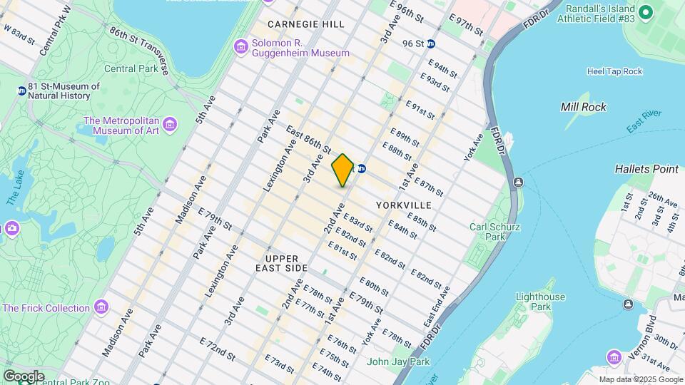 251 E 84th St Mapa y Detalles de la Ubicación