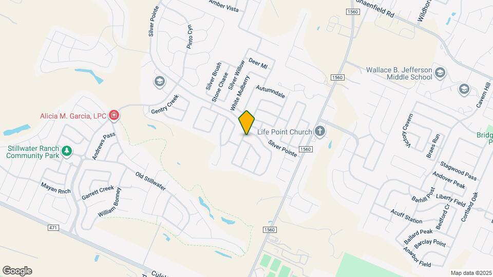 11919 Briarton Pass Map and Location Details