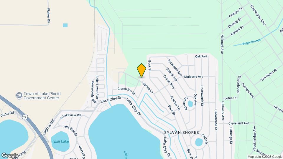 1541 Spring Ln Mapa y Detalles de la Ubicación