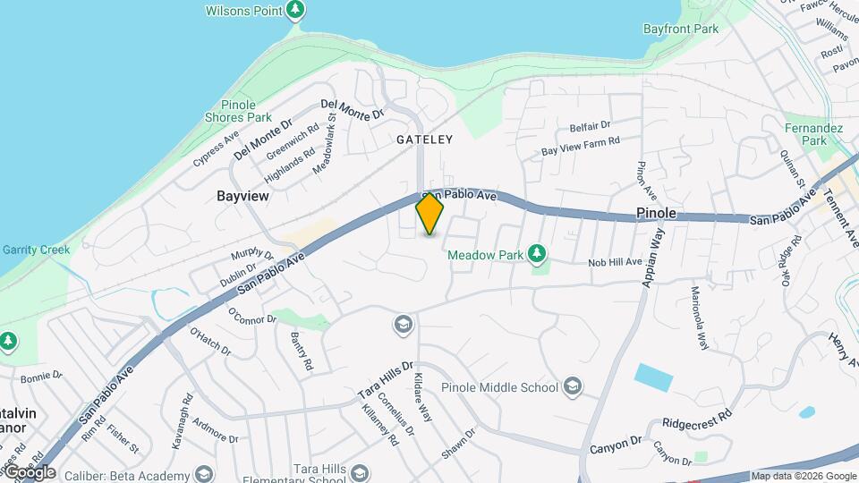 313 Felice Cir Mapa y Detalles de la Ubicación