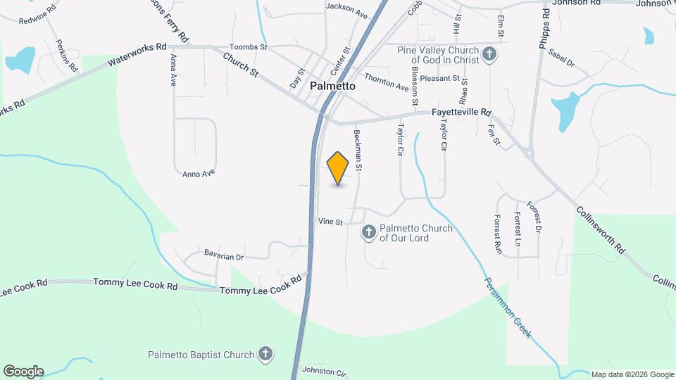 217 Harper St Apartments Palmetto, GA Apartments For Rent