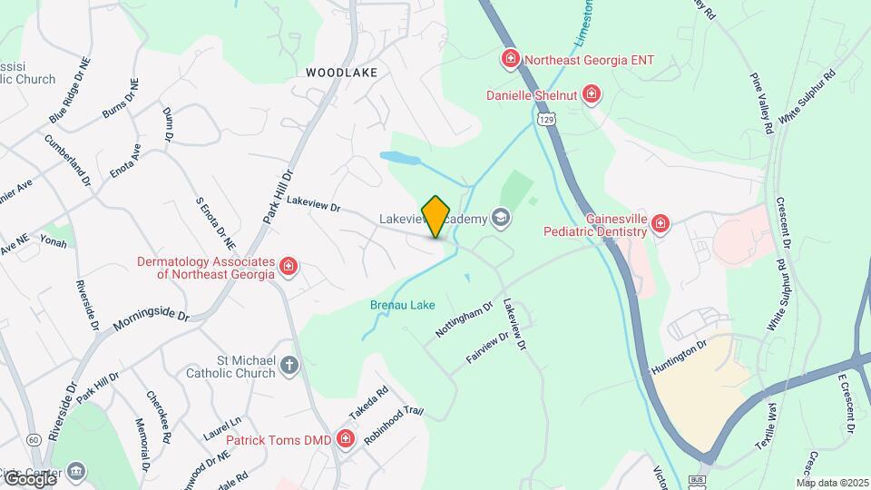 937 Brenau Point Dr Map and Location Details