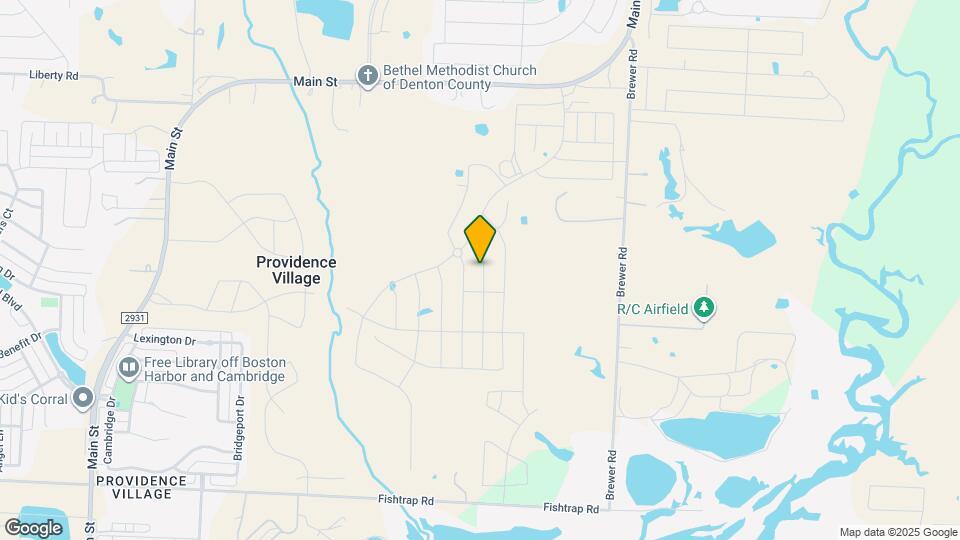 3125 Burmese St Mapa y Detalles de la Ubicación