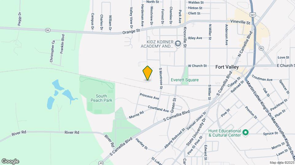 117 Ronald Pride Blvd Map and Location Details