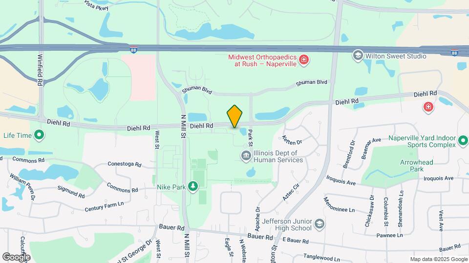 234 W Diehl Rd Mapa y Detalles de la Ubicación
