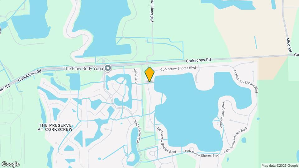 20281 Corkscrew Shores Blvd Map and Location Details