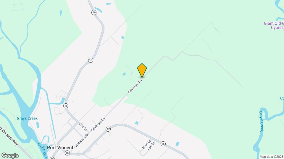 18884 Scivicque Ln Mapa y Detalles de la Ubicación