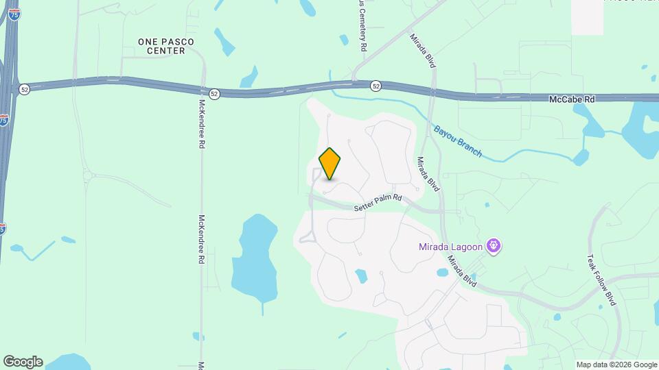 30989 Jazz Leaf Pl Map and Location Details