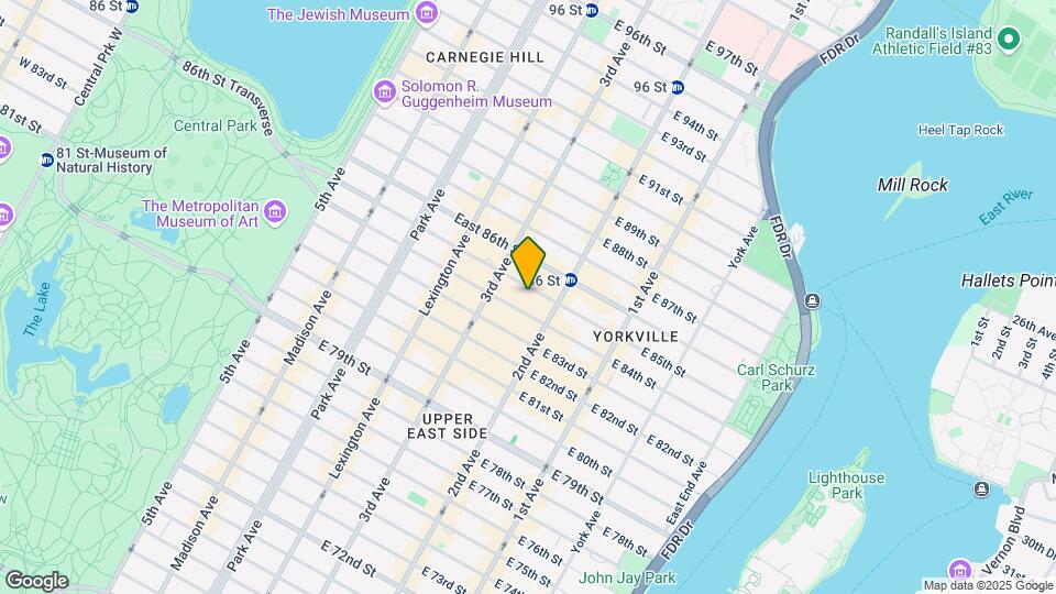 226 E 85th St Mapa y Detalles de la Ubicación