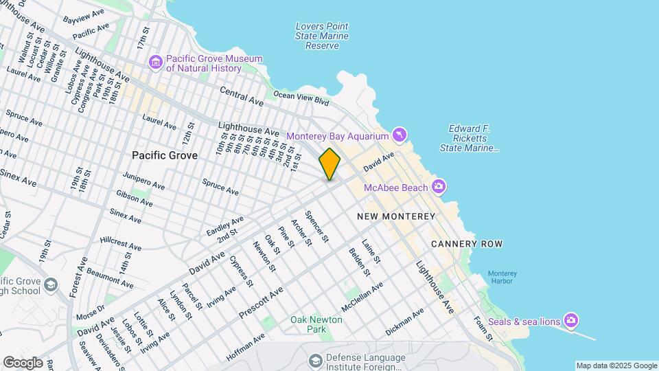 498 David Ave Mapa y Detalles de la Ubicación