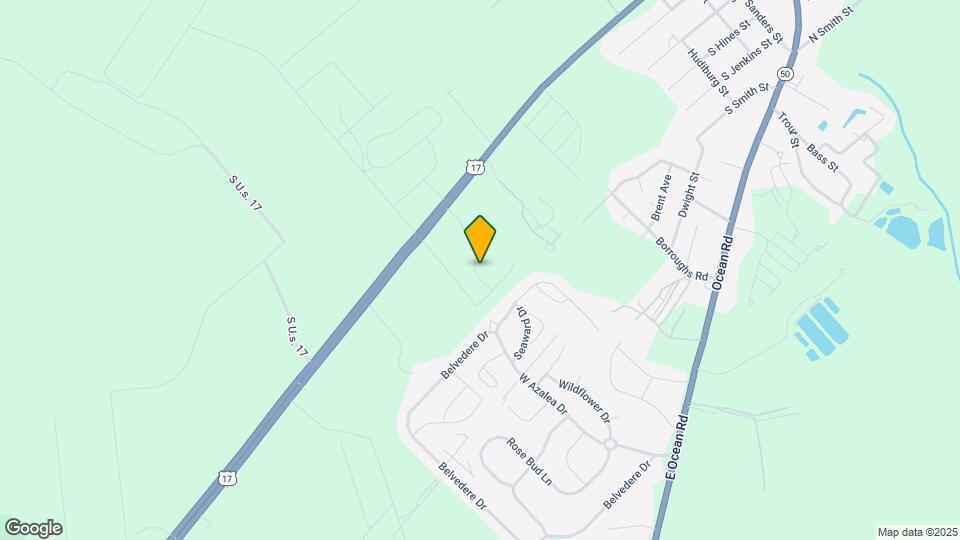 209 New Home Pl Map and Location Details