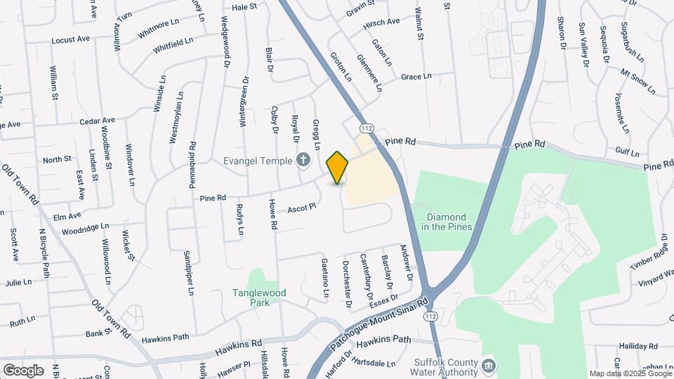 9 Pineview Ln Map and Location Details