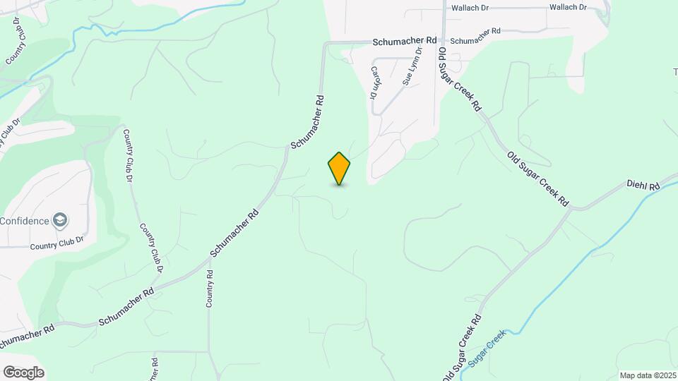 2557 Tricia Ln Mapa y Detalles de la Ubicación