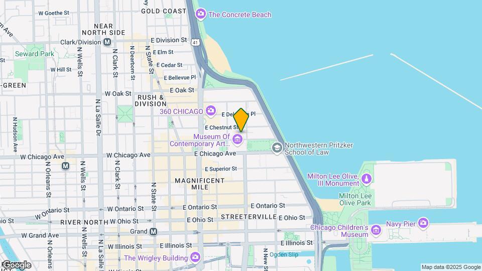 222 E Pearson St, Unit 1404 Mapa y Detalles de la Ubicación