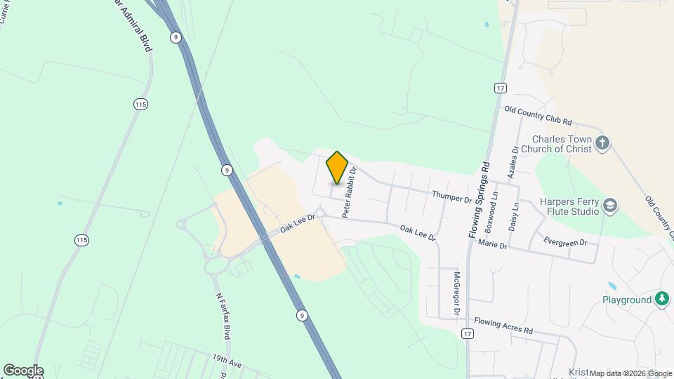 91 Fuzzy Tail Dr Mapa y Detalles de la Ubicación