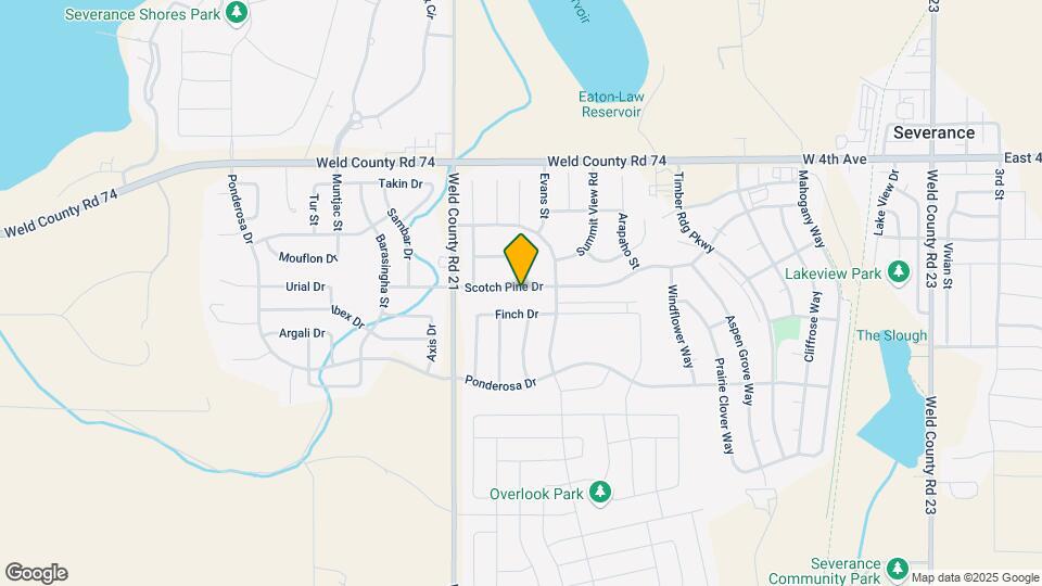 809 Scotch Pine Dr Map and Location Details