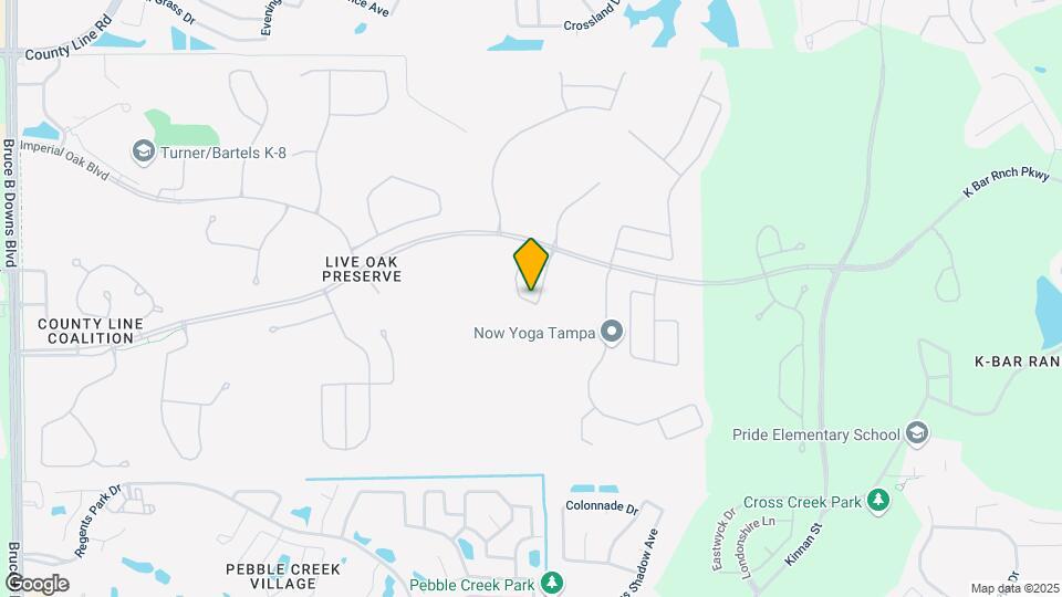 20156 Bay Cedar Ave Map and Location Details