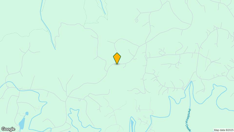 2443 Dutch Camp Ct Map and Location Details