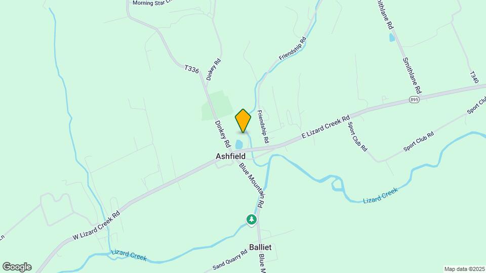 65 E Lizard Creek Rd Map and Location Details