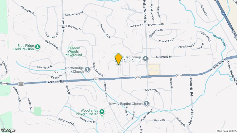 343 Telluride Ln Mapa y Detalles de la Ubicación