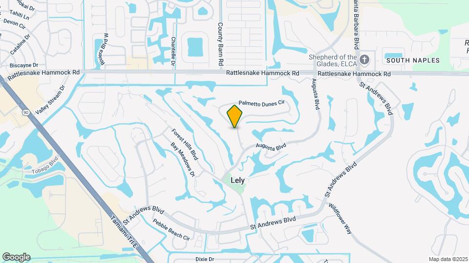 113 Palmetto Dunes Cir Mapa y Detalles de la Ubicación