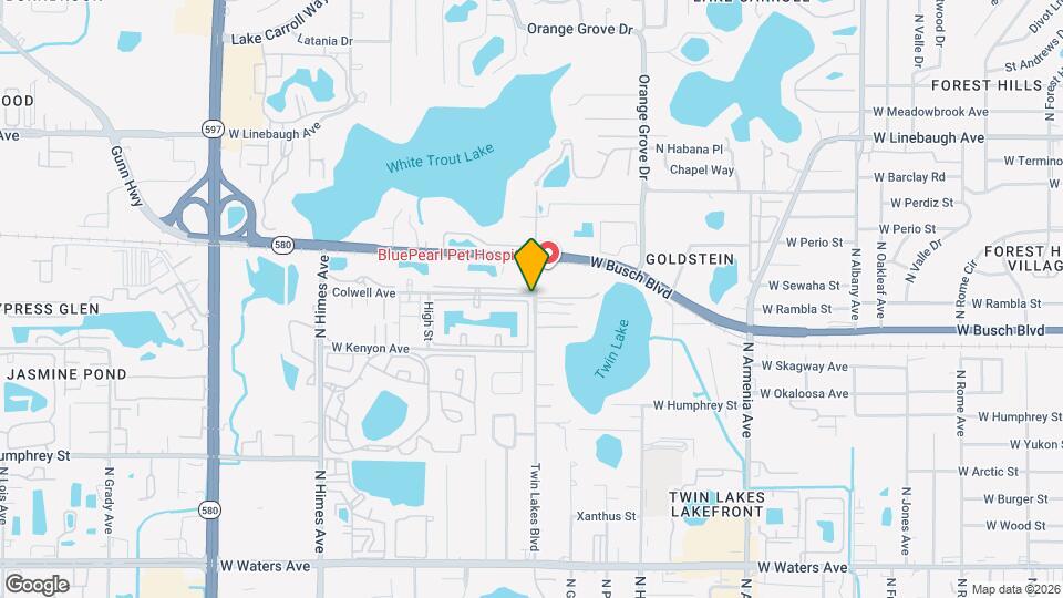 Carrollwood Station Map and Location Details