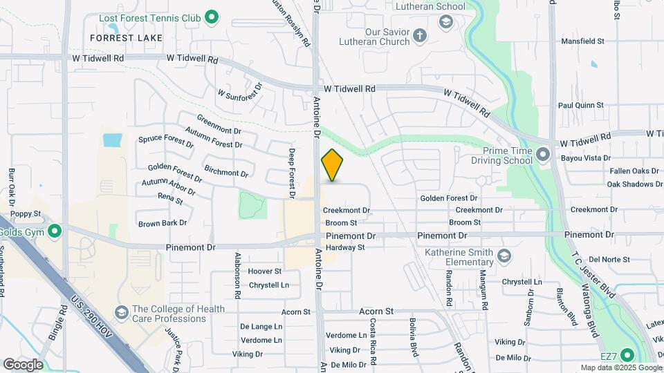5669 Birchmont Dr Mapa y Detalles de la Ubicación