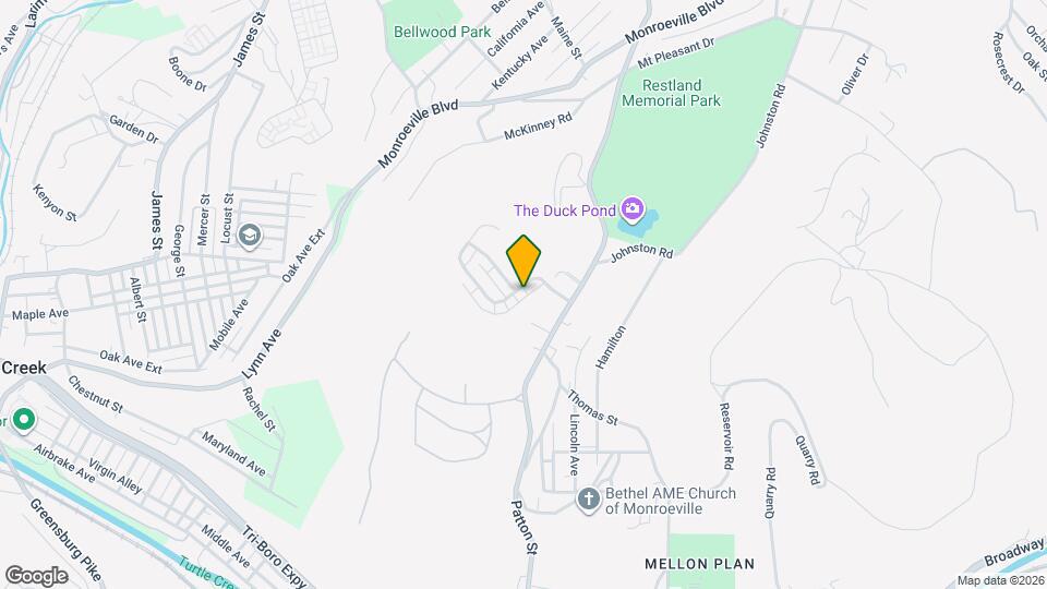 231 Shady Ridge Dr Mapa y Detalles de la Ubicación