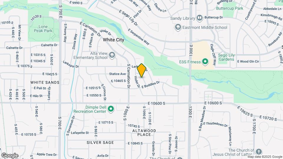 10460 S Godatia Ln Map and Location Details