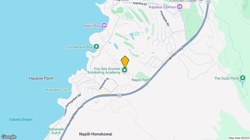 Coconut Inn Map and Location Details