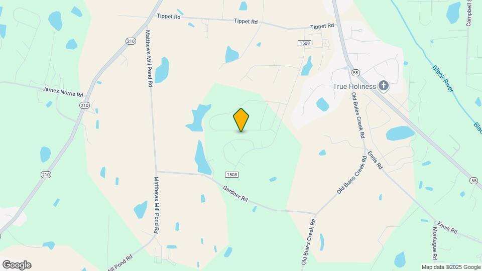 78 Blossom Field Way Mapa y Detalles de la Ubicación