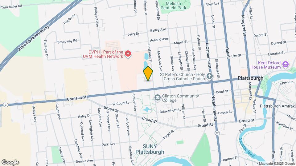 61 Beekman St Mapa y Detalles de la Ubicación