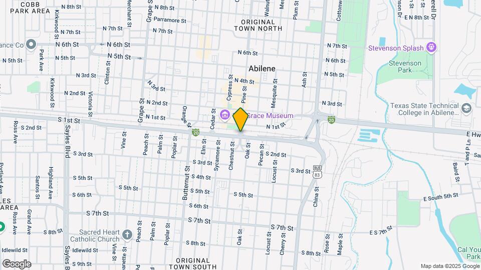 313 Woodstock Ln Mapa y Detalles de la Ubicación