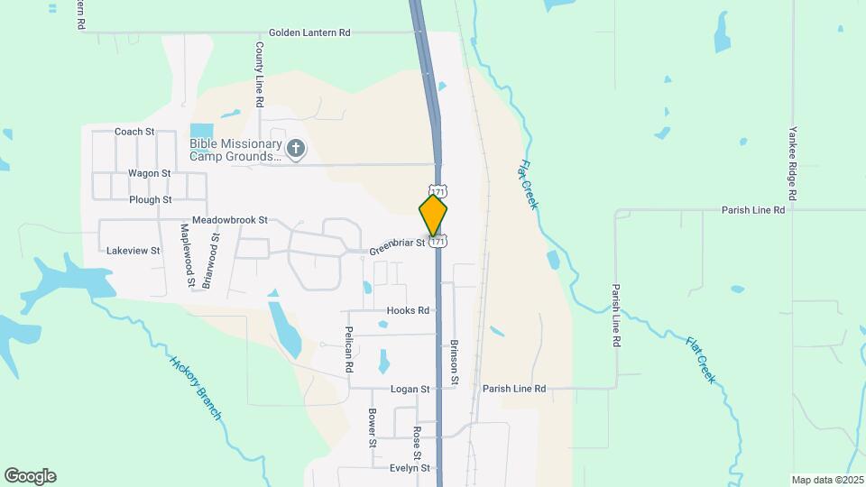305 Greenbriar St Mapa y Detalles de la Ubicación