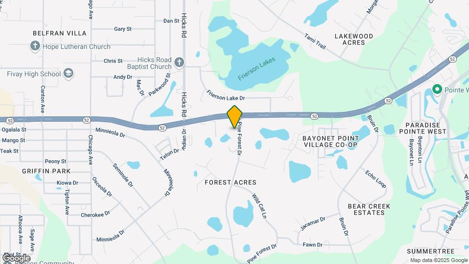 11911 Pine Forest Dr Map and Location Details
